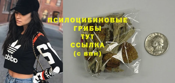 СК Верхний Тагил