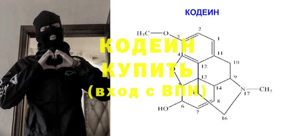 сатива Вязьма
