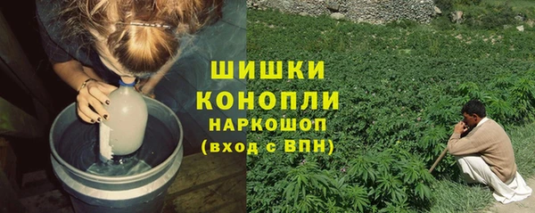 твердый Вяземский