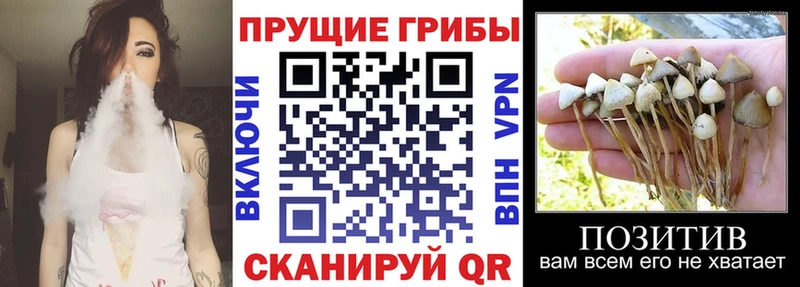 Галлюциногенные грибы мицелий Гусь-Хрустальный